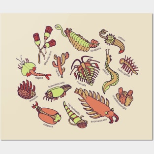 Cambrian Critters Posters and Art